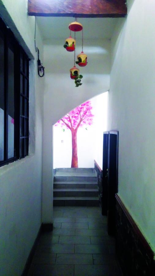 טמאסופו Hotel Falcon מראה חיצוני תמונה