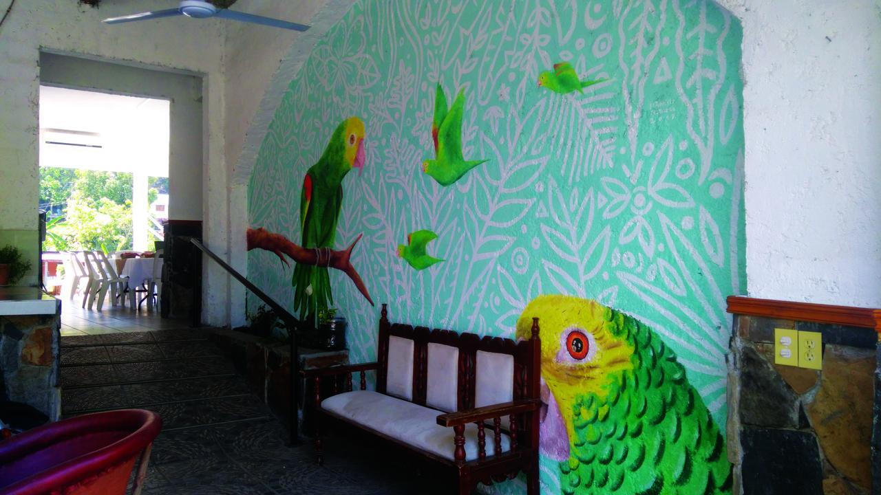 טמאסופו Hotel Falcon מראה חיצוני תמונה