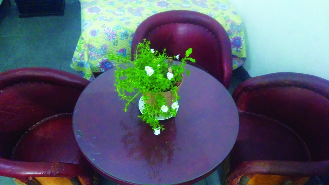 טמאסופו Hotel Falcon מראה חיצוני תמונה